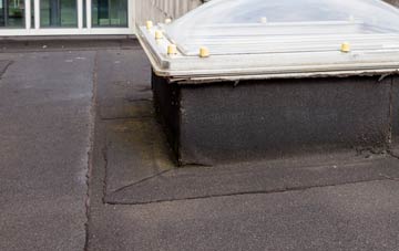 disadvantages of Fowlers Plot flat roofs