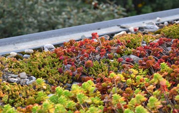 the cost of Fowlers Plot green roof installation