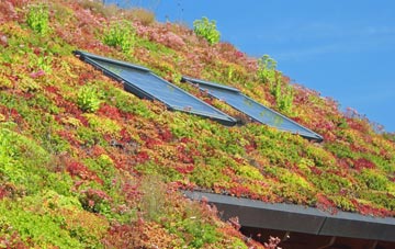 Fowlers Plot living roof systems