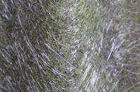 Fowlers Plot fibreglass roof work